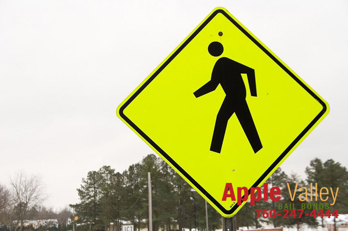 School Zone Ahead: Keep an Eye out for Kids