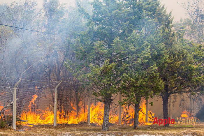 7 Tips for Preventing Wildfires