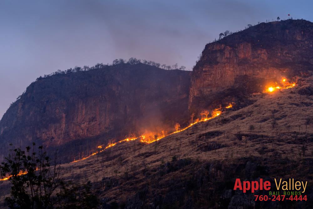 Wildfire Tips and Arson Laws